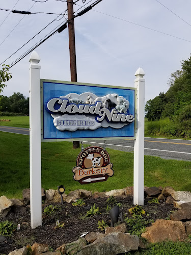 Cloud Nine Pet Retreat
