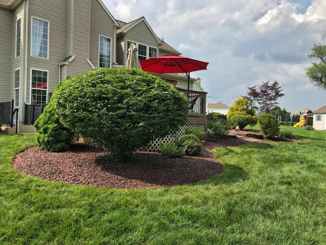 Always Greener Landscaping logo