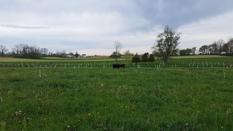 Willow Run Farmstead LLC