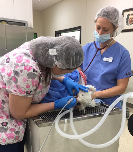 Willow Creek Veterinary Center