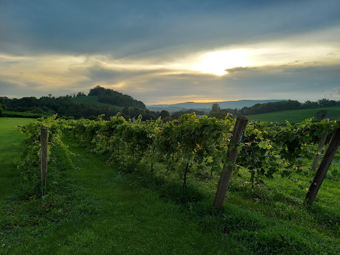 Lucky Leprechaun Vineyard and Winery