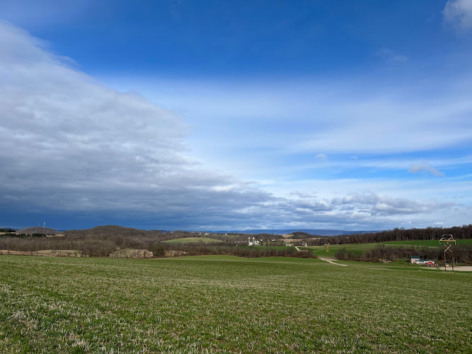 Violet Vintage Wine Company