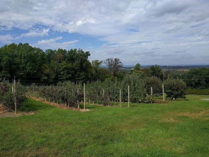 Preston Orchards