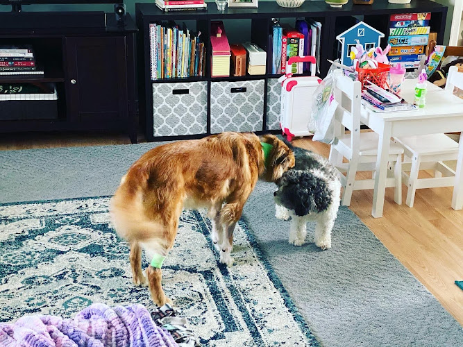 BluePearl Pet Hospital