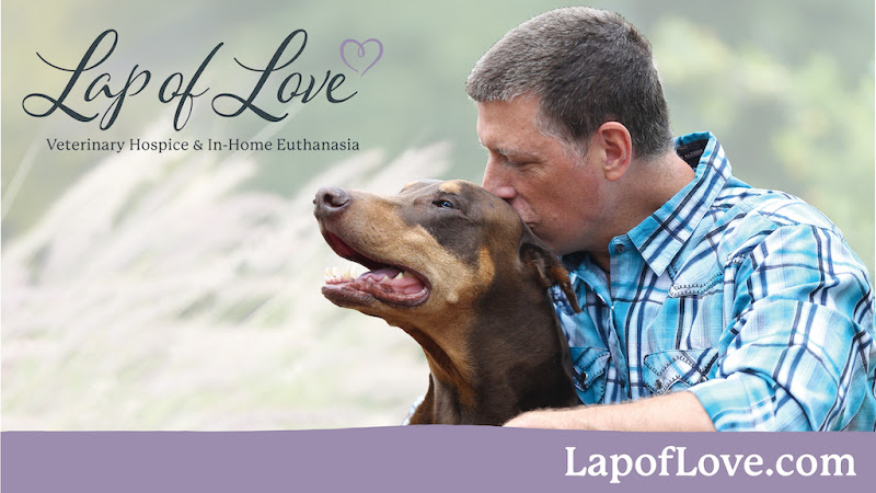 Lap of Love - Berks & Lehigh Counties