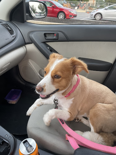 Penelope's Pooches LLC logo