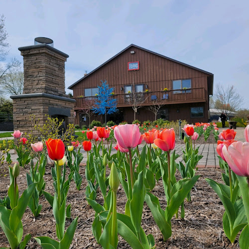 Anewalt's Landscape Contracting
