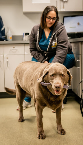 Humane Veterinary Hospitals - Reading
