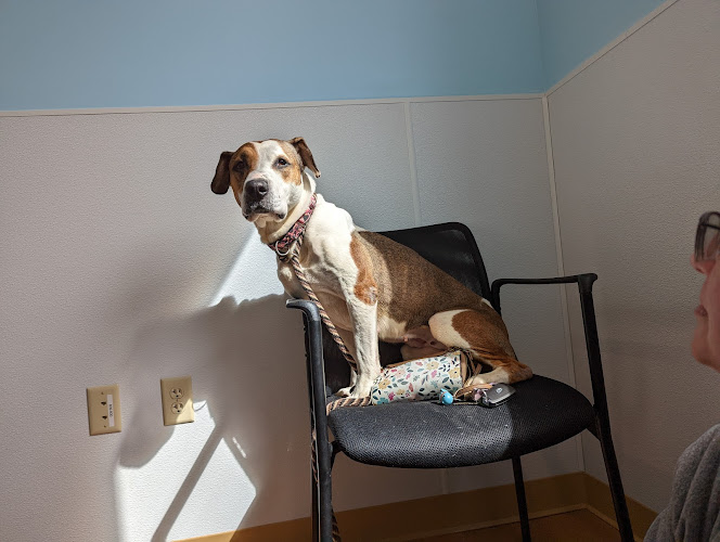 Humane Pennsylvania Freedom Center for Animal Life-Saving