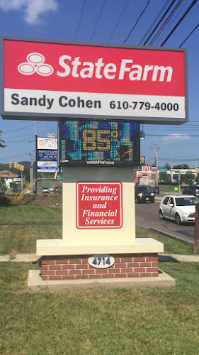 Sandy Cohen - State Farm Insurance Agent