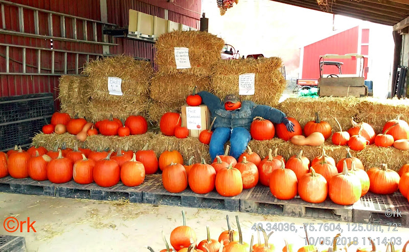 Fisher’s Produce Stand