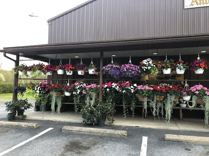 Andre Farms
