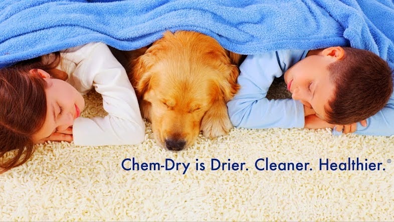 Chem-Dry by the Millers