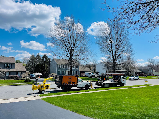 Lumberjays Landscaping Tree Services logo